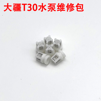 T30 water pump repair kit